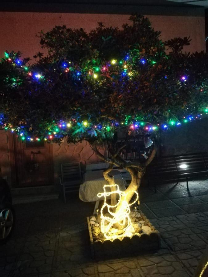 Casa di Chiara Appartamento Terni Esterno foto